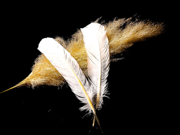 Plumes de dindes blanches 25-30 cm